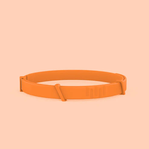 Calming Pet Collar (8 Months Tick & Flea Free)